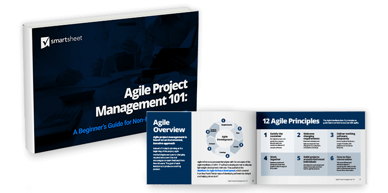 Agile PM Ebook