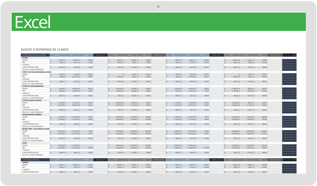 Budget d'entreprise sur 12 mois